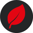 2.png 2.png