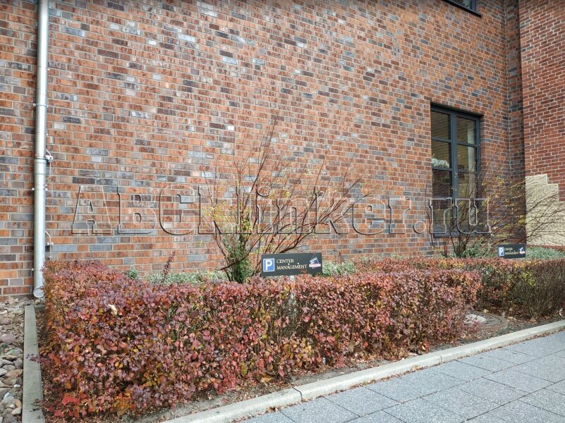 101875 Wittenburg Kohlebrand mit Sinterschmolz glatt, NF 240x55x71 мм, ABC кирпич клинкерный облицовочный